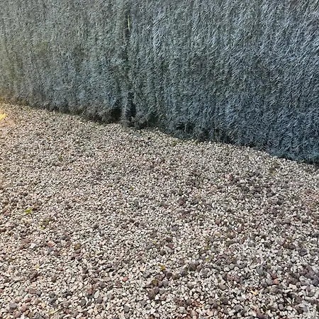 La Malquerida Adosado En *